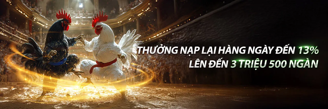 Đá Gà Trực Tiếp Ngày 18 Tháng 2